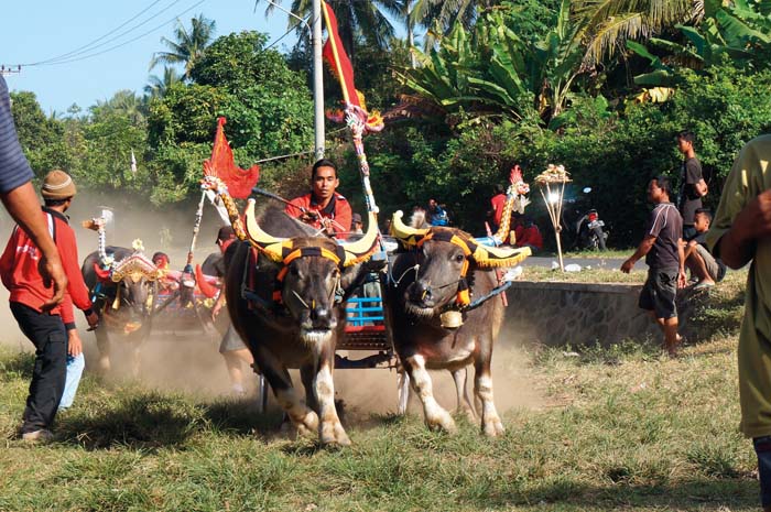 West of Bali 14