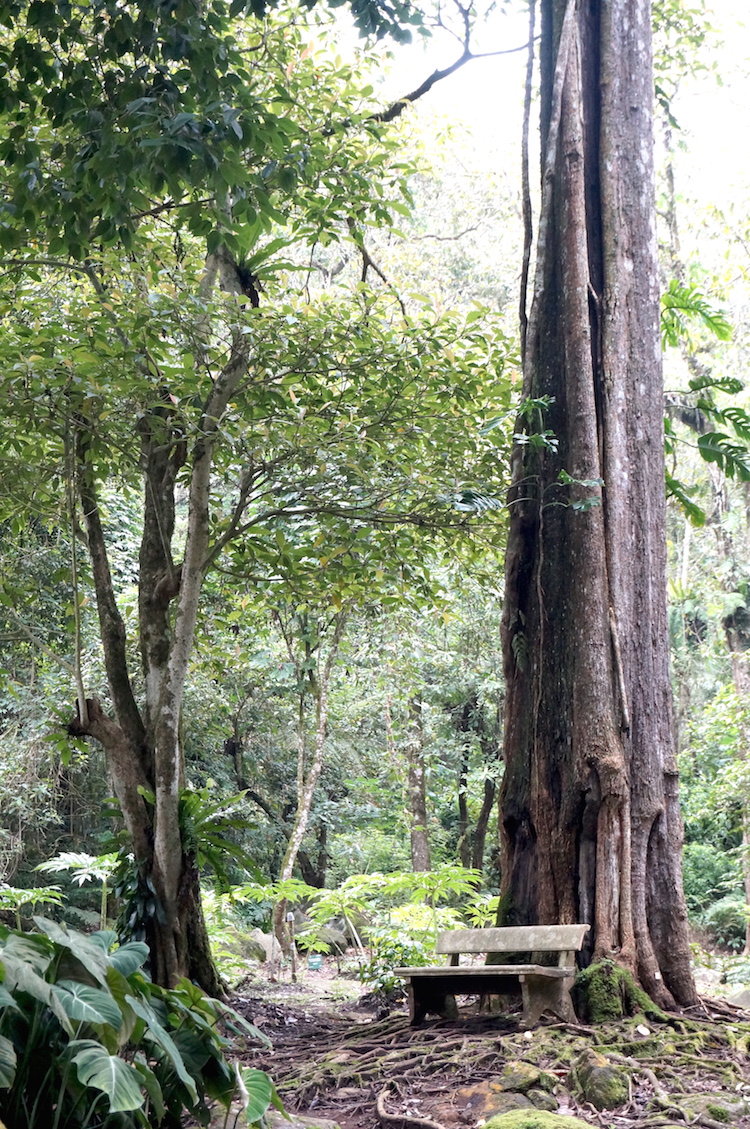 Bedugul Botanical Gardens (14)