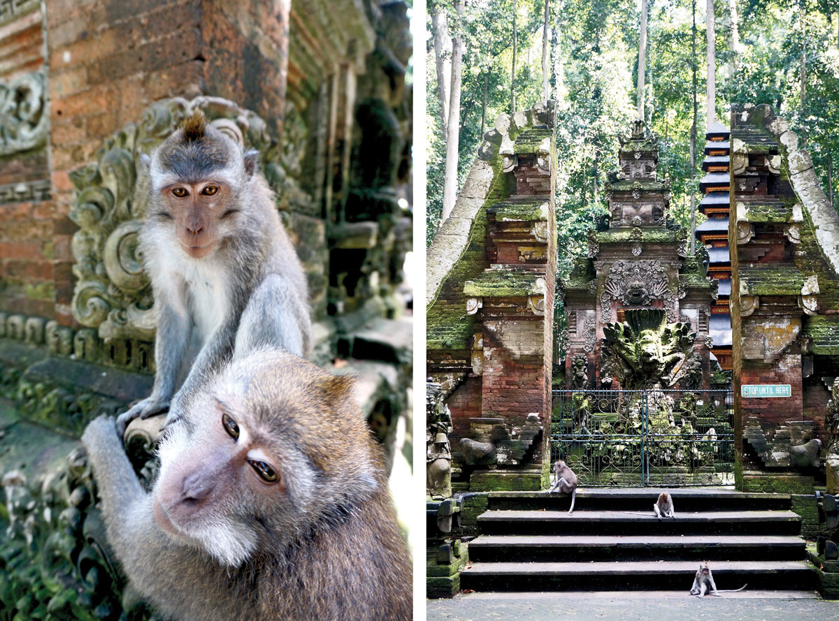 Sangeh Monkey Forest