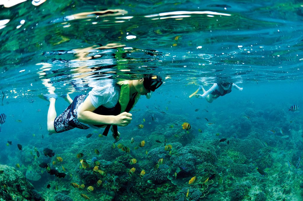 Theme---Exploration-East---WTD---Snorkeling-(2)