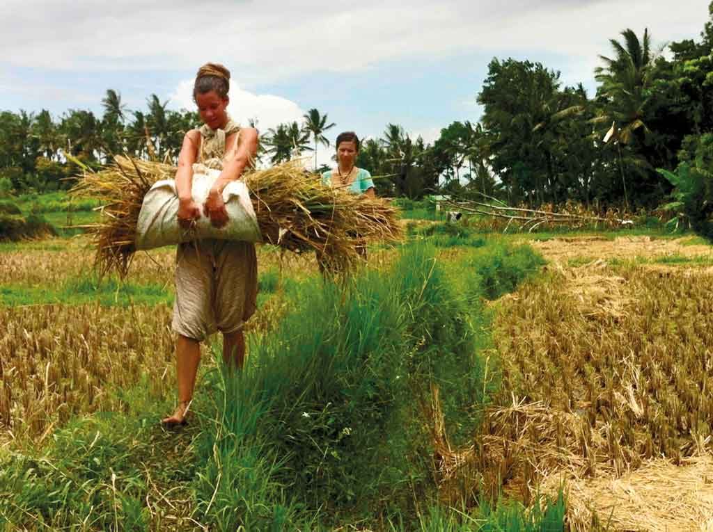 Charity-Profile---Sawah-Bali----Change-management-agrotourism