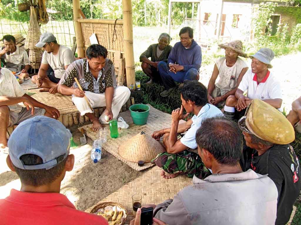 Charity-Profile---Sawah-Bali----Seed-Selection-workshop