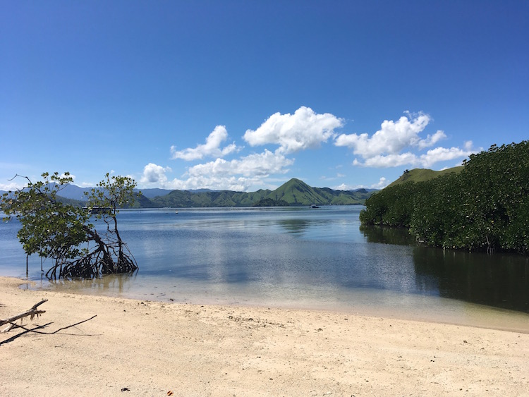 Atlas Pearls Farm in Flores