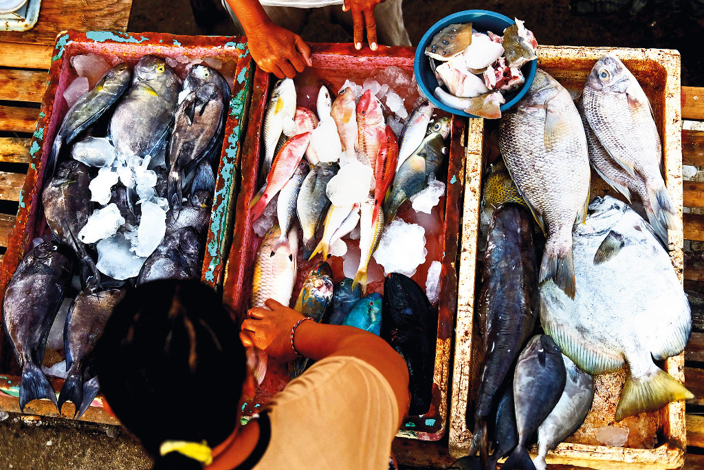 Live Clamps Kedonganan Traditional Fish Market Stock Photo