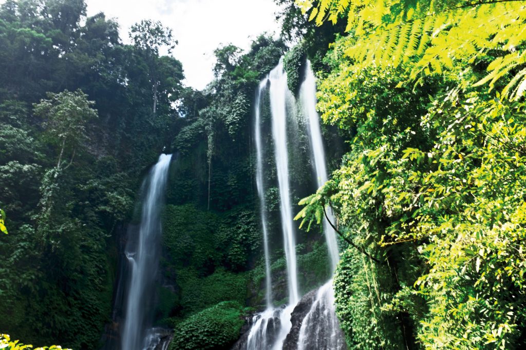 Sekumpul Waterfalls in Bali