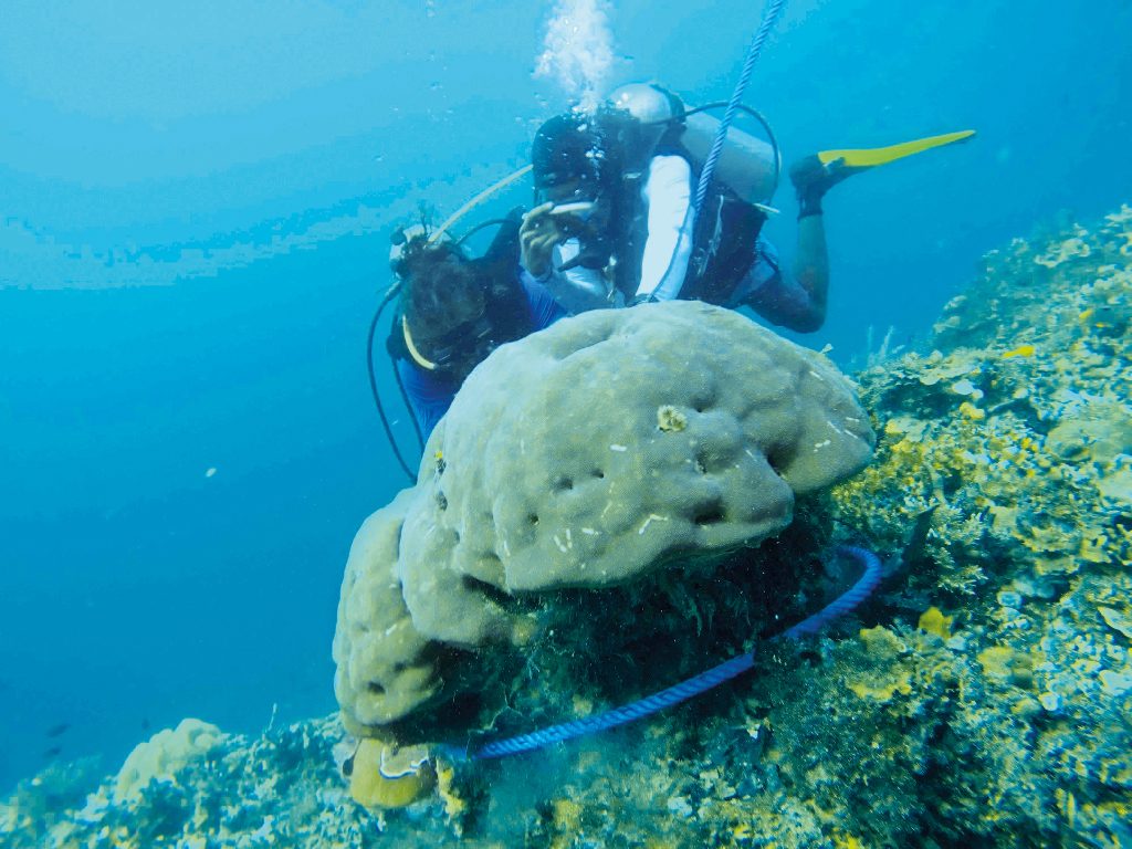 Theme - Coastal Communities - Biosphere Foundation - crown of thorns removal and coral transplant (4)