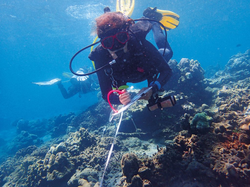 Theme - Coastal Communities - Reef Check Indonesia - coral monitoring