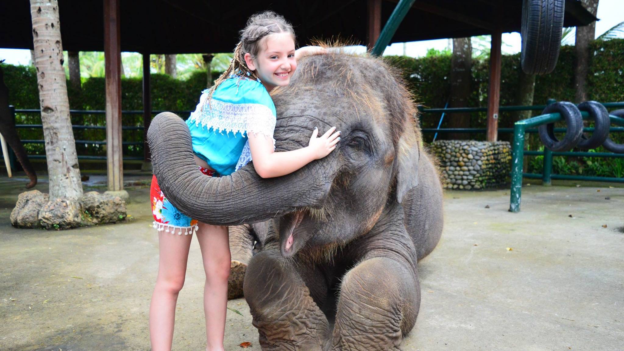 Nigel Mason Elephant park Bali