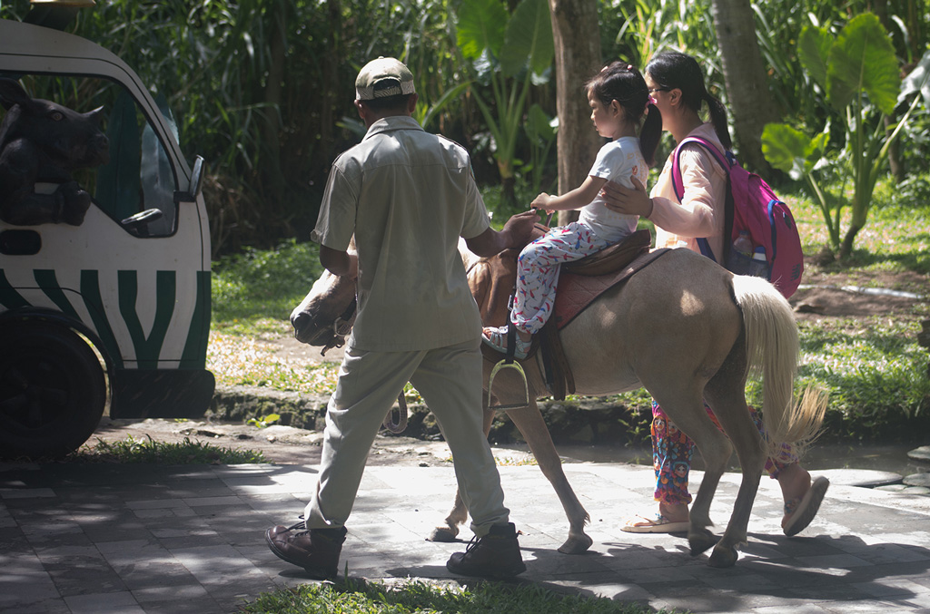 Bali-Safari-(5)