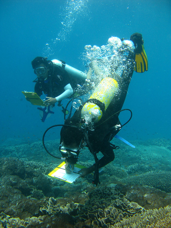 Reef Monitoring in Nusa Penida, Courtesy of Cortal Triangle Center