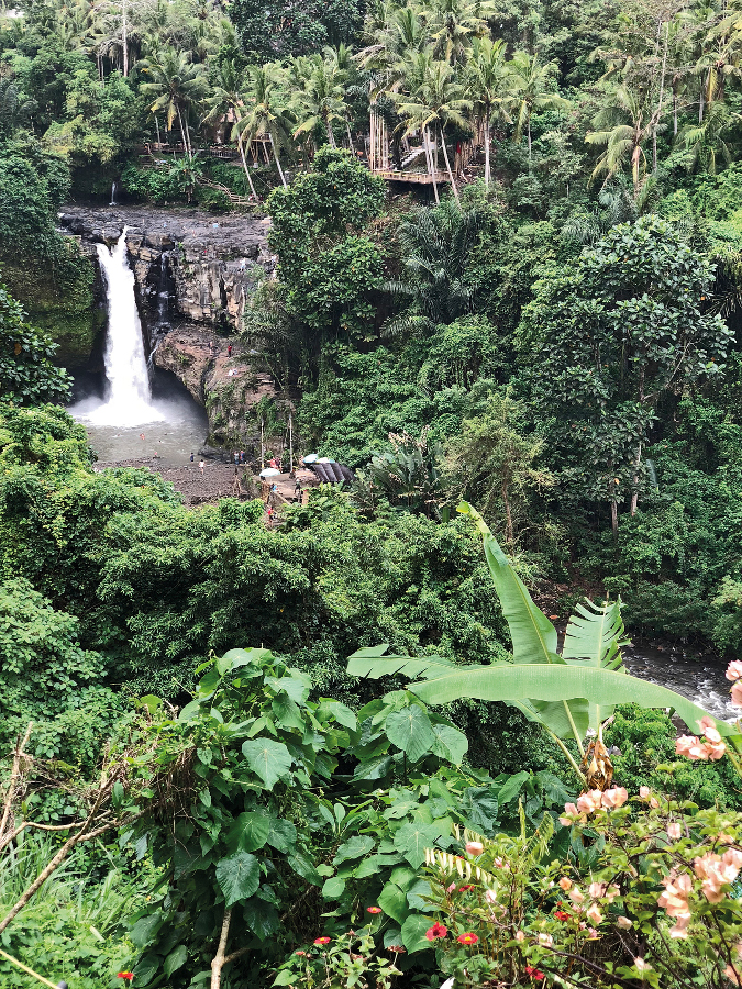 Serene surrounding of Tegenungan Waterfall