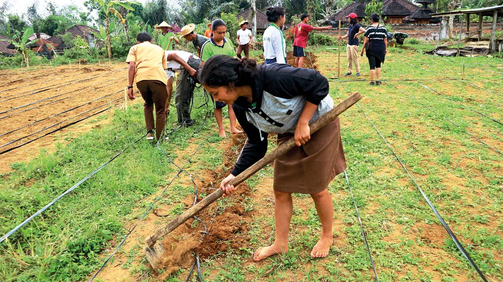 Future Farmers Indonesia (7)