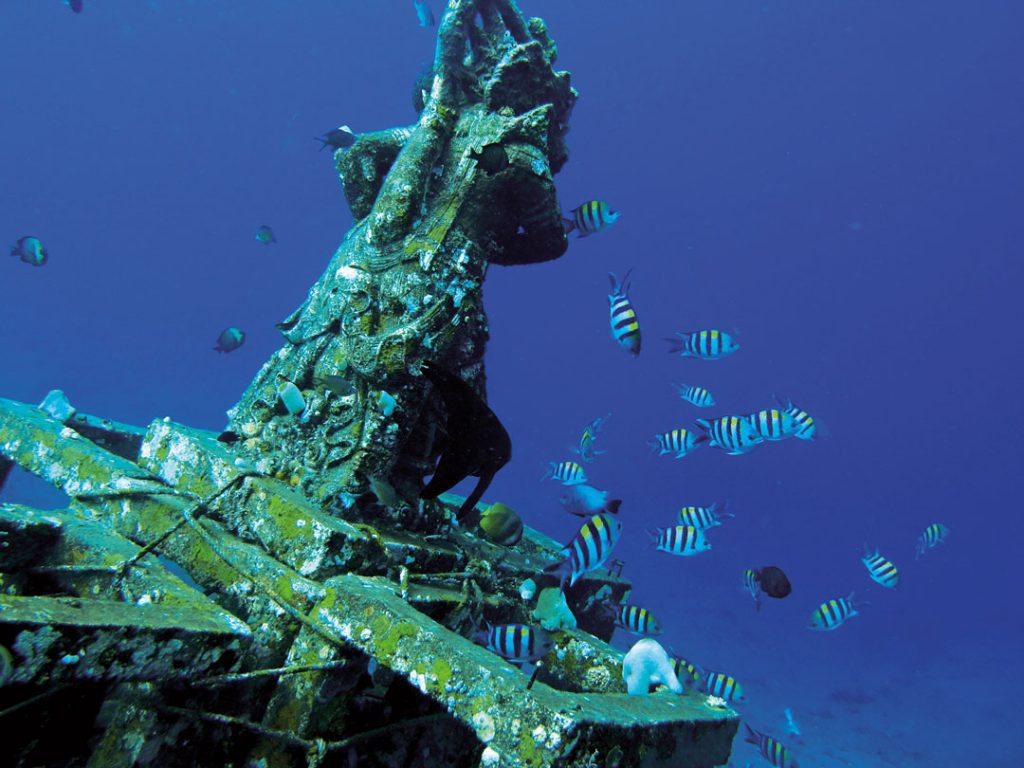 Diving in Bali - Amed Dive Sites