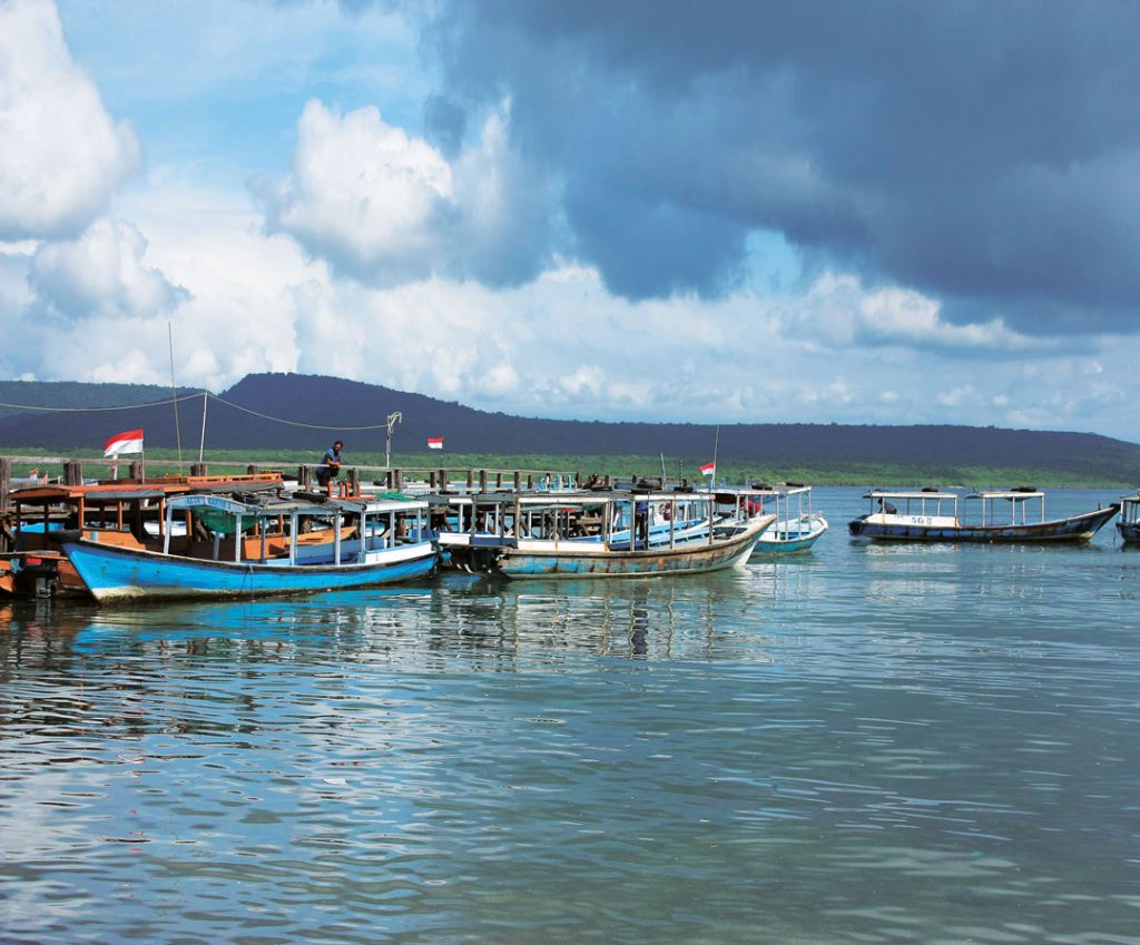 Diving in Bali - Menjangan Dive Sites