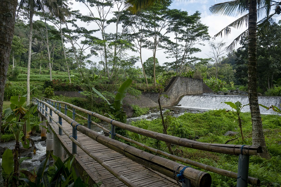 Trails Through Tenganan 1