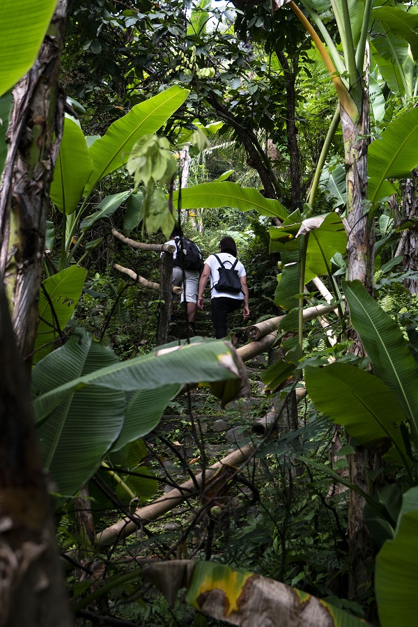 Trails Through Tenganan 2