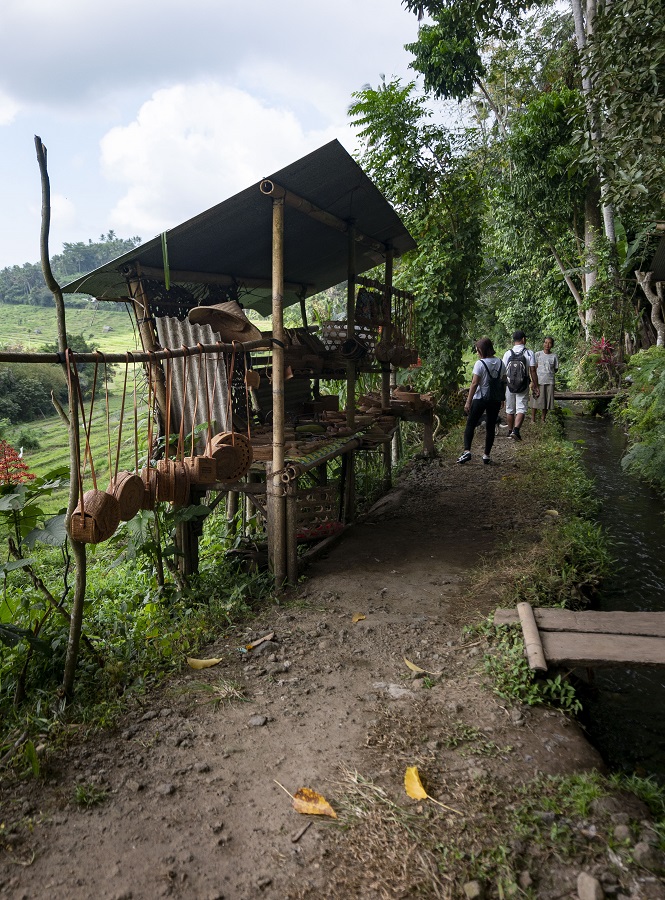 Trails Through Tenganan 4