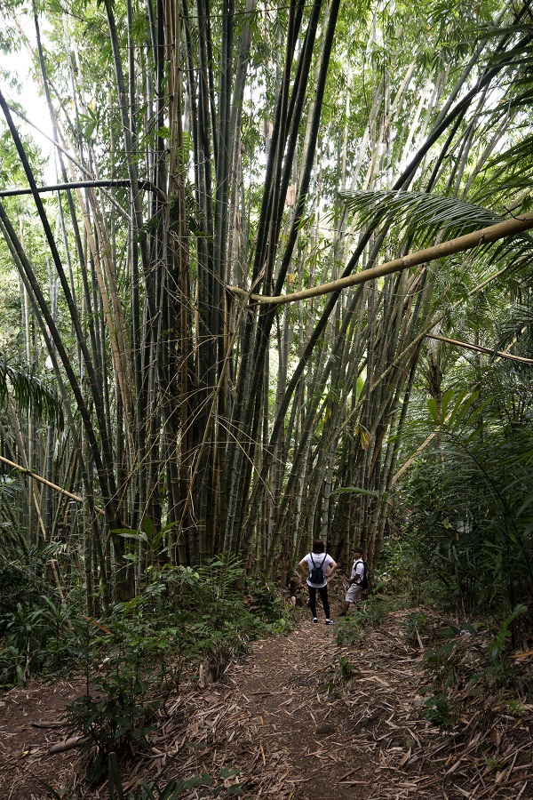 NB Sept 22 - Trekking Tenganan_6