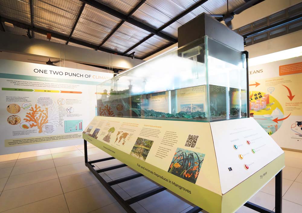 Indonesia’s First Ever Ocean Conservation-Themed Exhibition Hall Opens ...