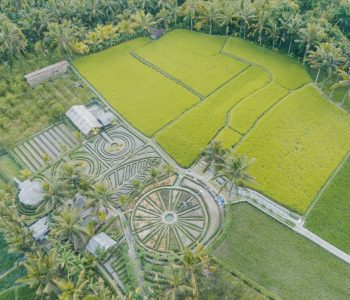 Begawan Foundation Farm