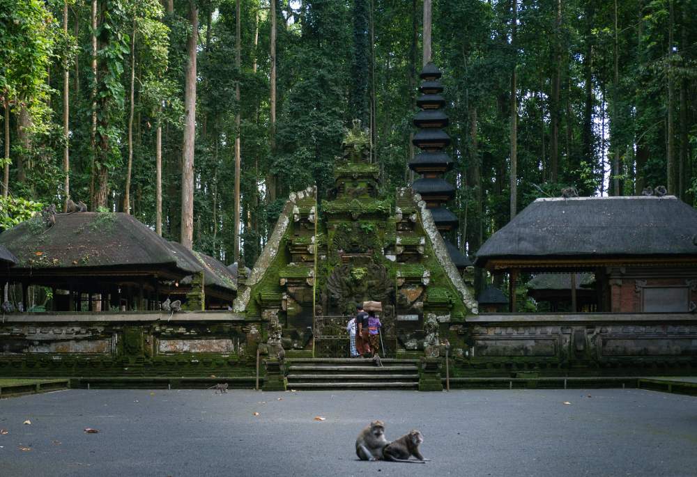 Alas Kedaton Sangeh Monkey Forest