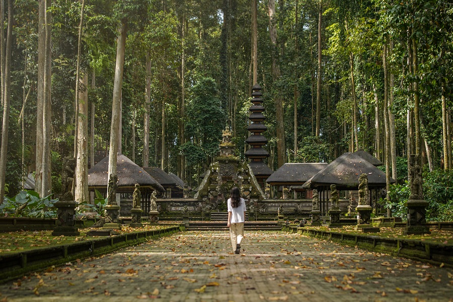 The Laguna - Monkey Forest