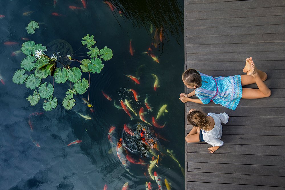 Ritz-Carlton Bali: Koi Pond