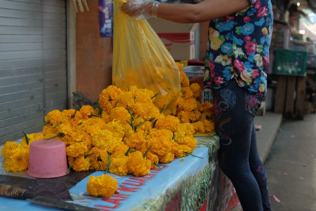 marigold flowers