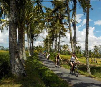 ebikes-Bali-Cycling-Tour-Ubud-3