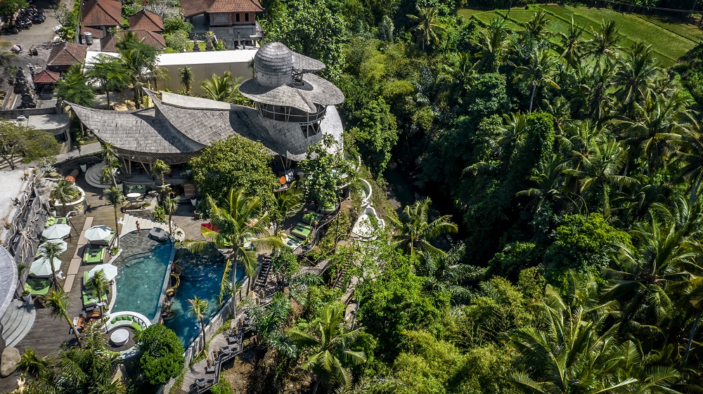 New Restaurants in Bali - The Jungle Club 1