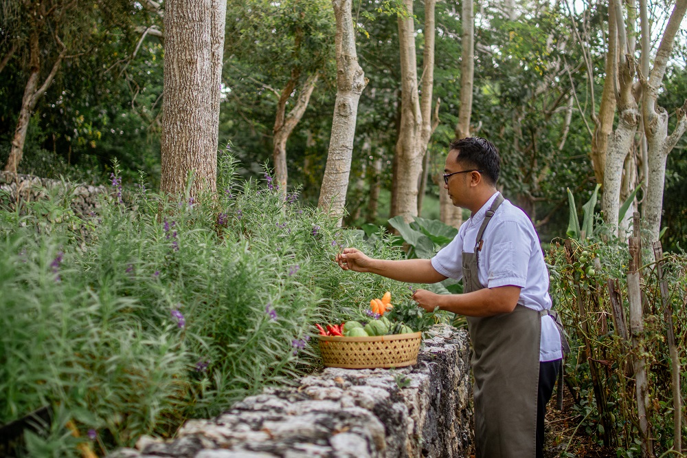 Regenrative Wellness - Six Senses Uluwatu 7