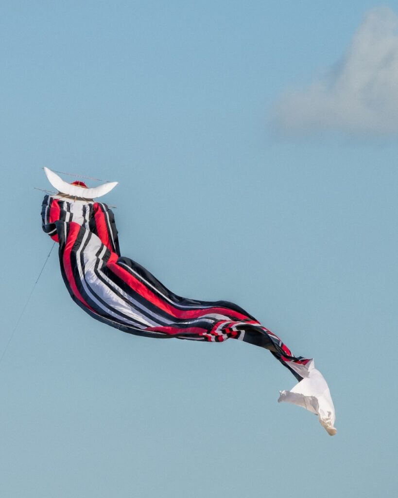 Janggan - Kites in Bali