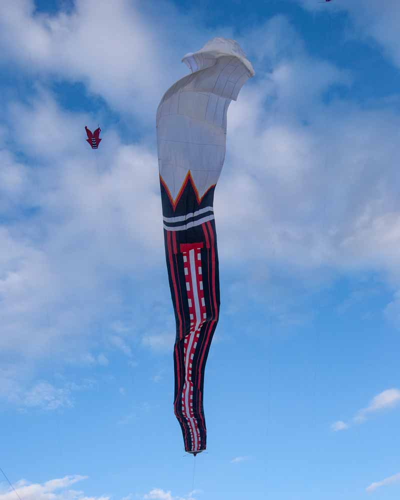 Kites in Bali 3