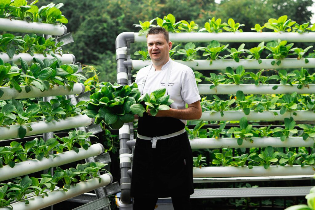 Building on its sustainable journey, The Westin Resort & Spa Ubud has also launched Hydro Haven, a hydroponic garden where fresh vegetables are grown to supply the resort’s farm-to-table dining experiences. This innovative approach ensures that guests enjoy fresh, locally grown produce while supporting an eco-friendlier lifestyle during their visit.