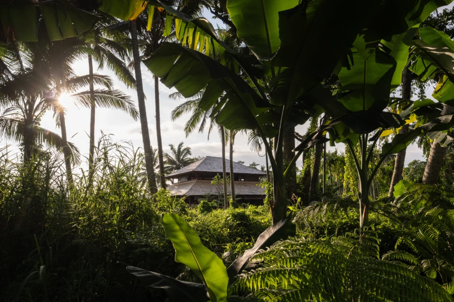 Begawan Bjij Restaurant Brings the Table to the Farm in North Ubud