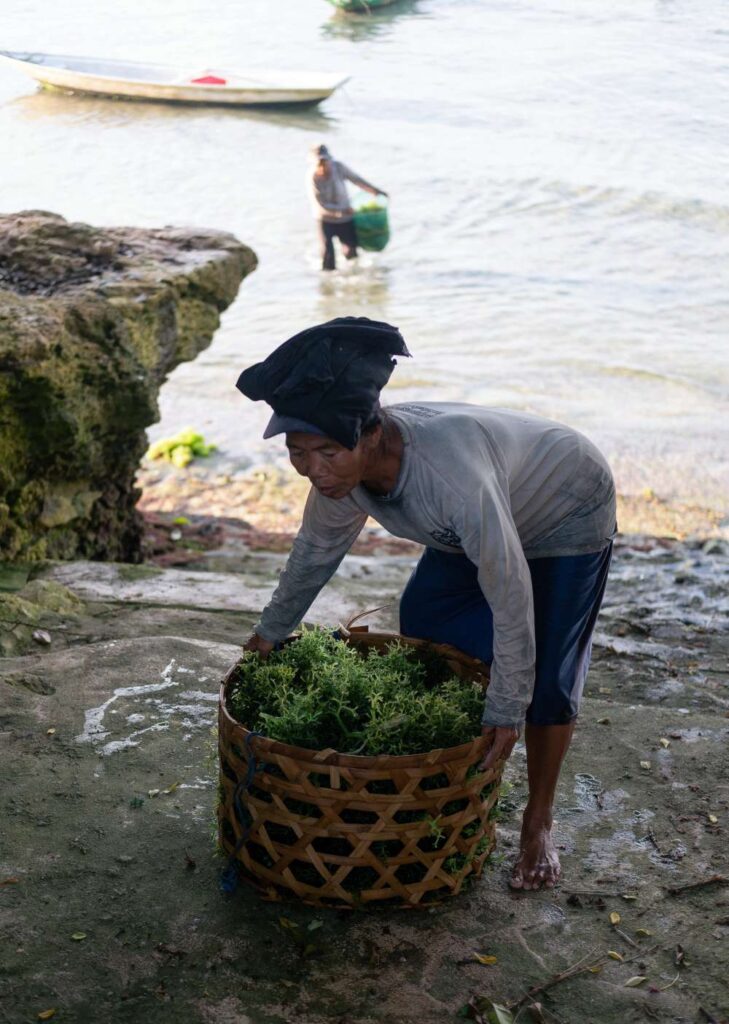 Seaweed Farmers of Nusa Lembongan 3