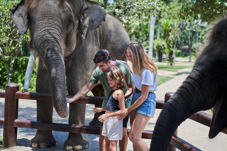 Mason-Elephant-Park-and-Lodge-Bali-1